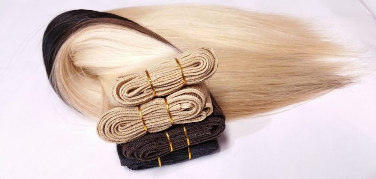 les informations sur les extensions et la coloration