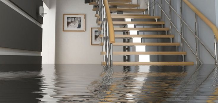 dégâts des eaux dans la maison