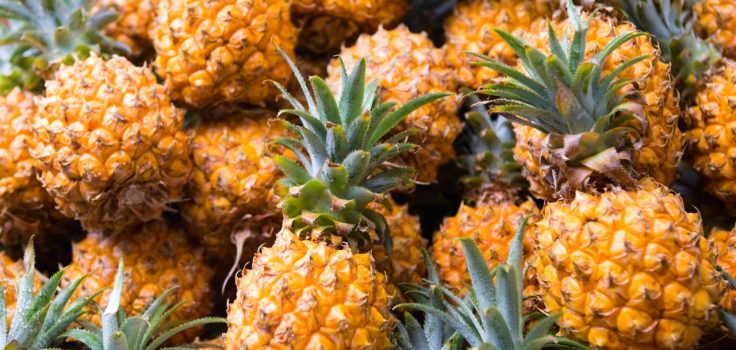ananas