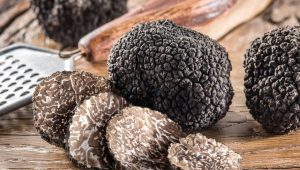 truffe noire