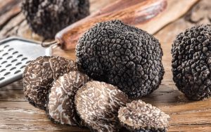 La conservation de la truffe noire