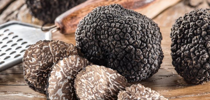 truffe noire