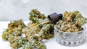 huile et fleurs de cannabidiol