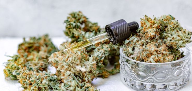 huile et fleurs de cannabidiol
