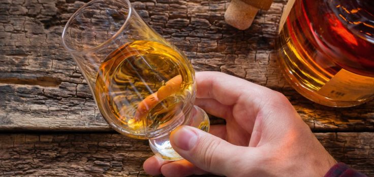 degustation whisky
