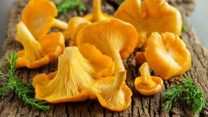 girolles
