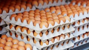 oeuf entier