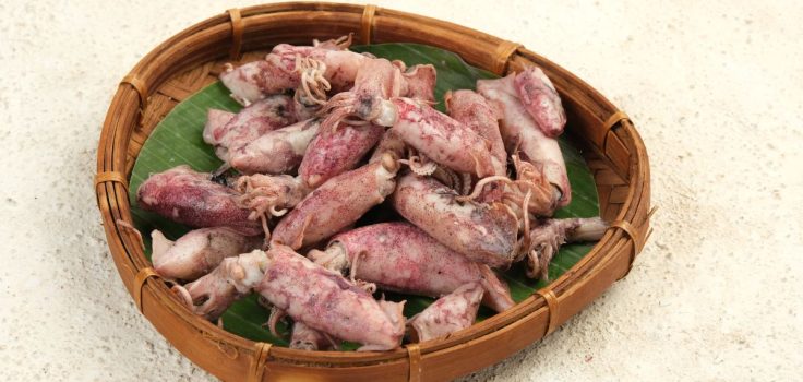 encornets cuisine