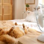 ventilateur chambre