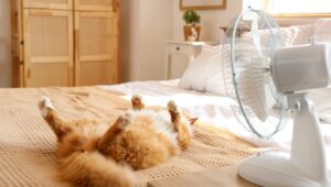ventilateur chambre