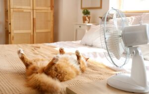 ventilateur chambre